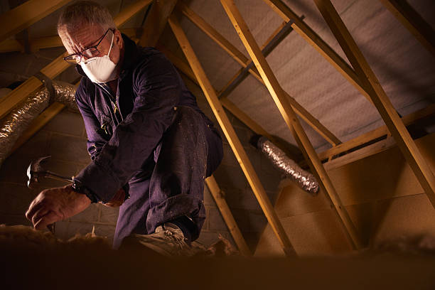 Best Types of Insulation in Royal Kunia, HI